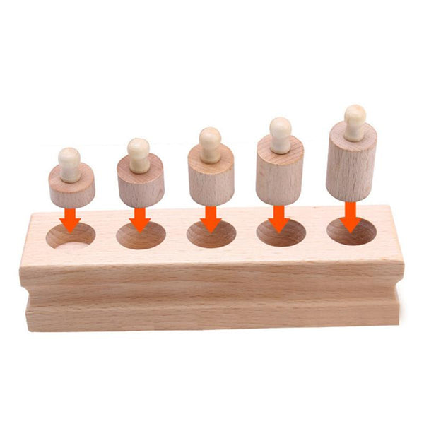 Math Cylinder Socket family Pack