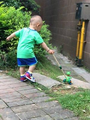 Wooden Hand Frog Push And Pull Animal