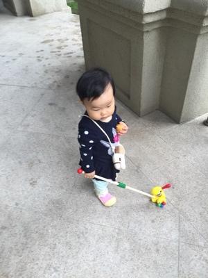 Wooden Hand Frog Push And Pull Animal